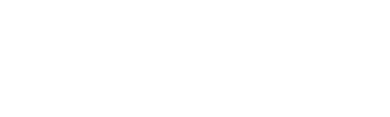 Paripesa logo