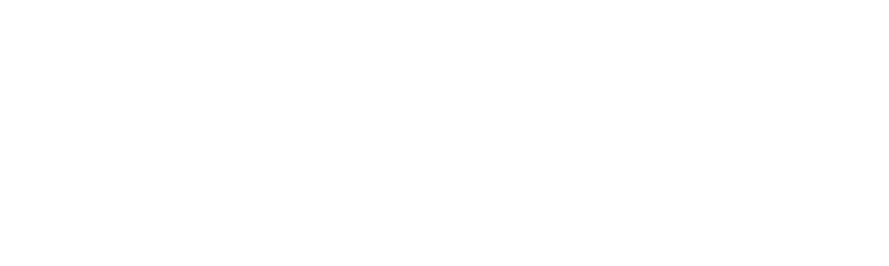 Stake logo