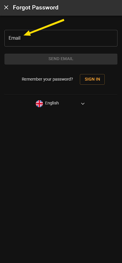 Password