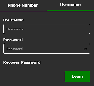 Log in by username