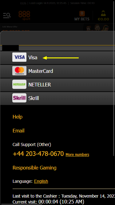 Payment transaction with Visa bank card