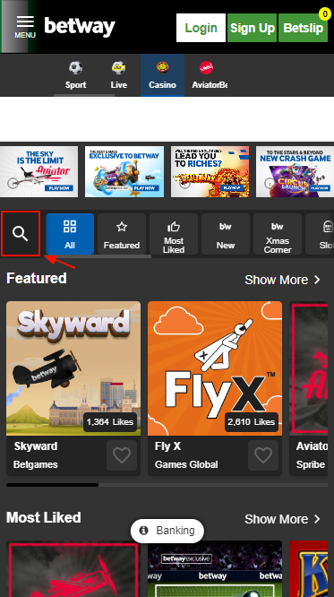 Betway Casino Search Box