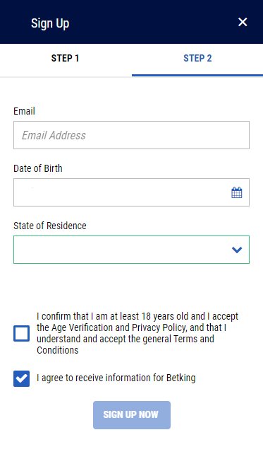 BetKing registration form