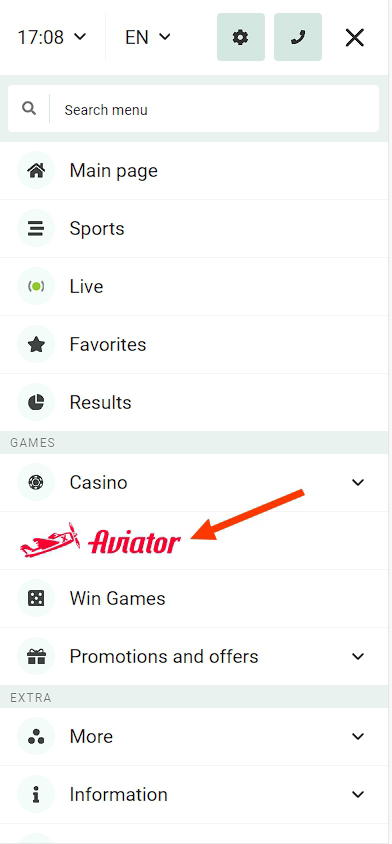 Aviator section mobile version