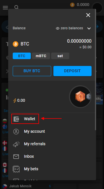 Wallet section of Cloudbet