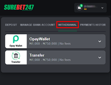 Withdrawal methods at Surebet247