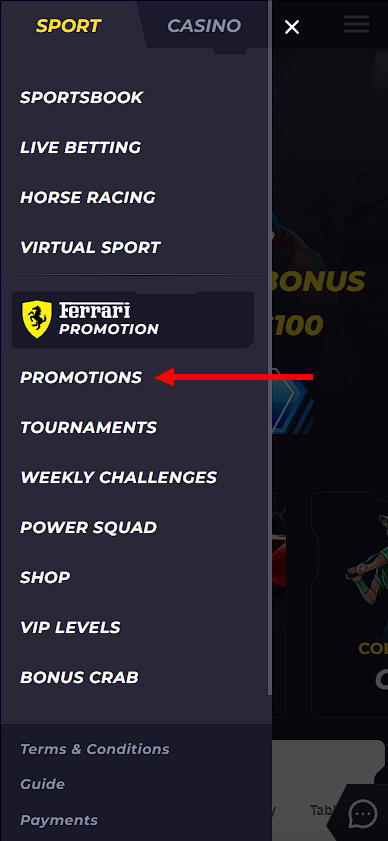 Promotions section Powbet in the mobile version