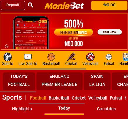 MonieBet app