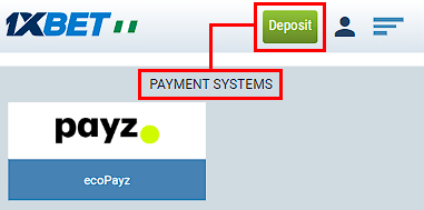 EcoPayz at 1XBET