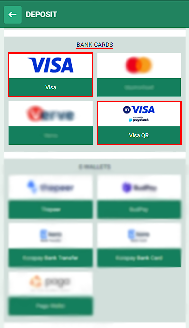 Visa at Betwinner