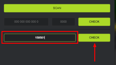 Fields for entering a special code 