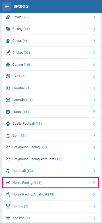 1xBet Horse betting